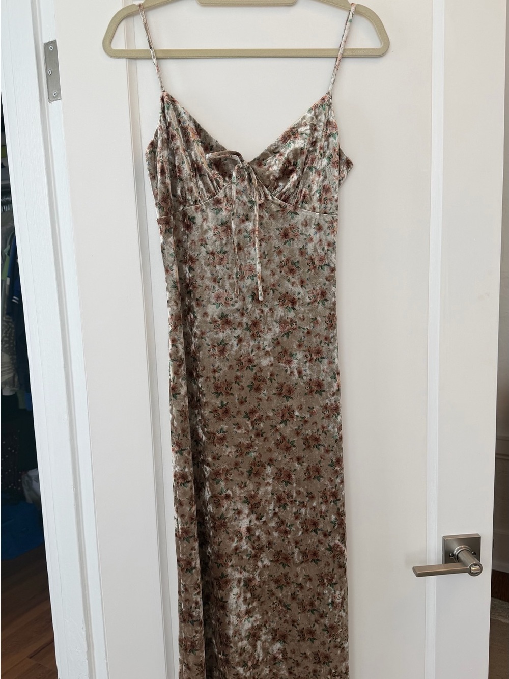 Floral Velvet Maxi Slip Dress in Beige
